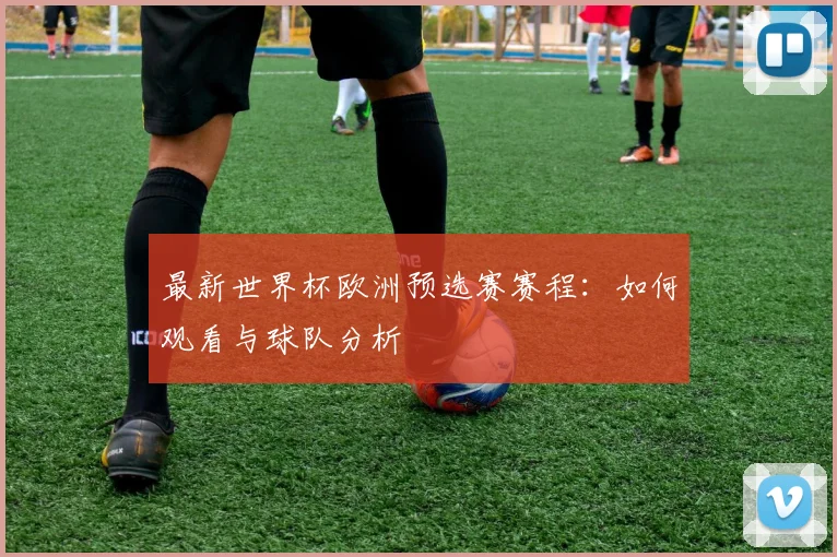 最新世界杯欧洲预选赛赛程：如何观看与球队分析