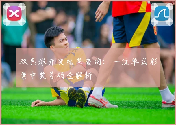 双色球开奖结果查询：一注单式彩票中奖号码全解析